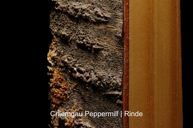 Pfeffermühle Salzmühle Rinde - Holz Groß Geschenk Keramikmahlwerk Handarbeit Exclusiv Chiemgau Peppermill