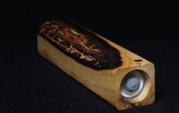 Pfeffermühle Holz Handarbeit Groß Rinde Walnuss - CP1801396